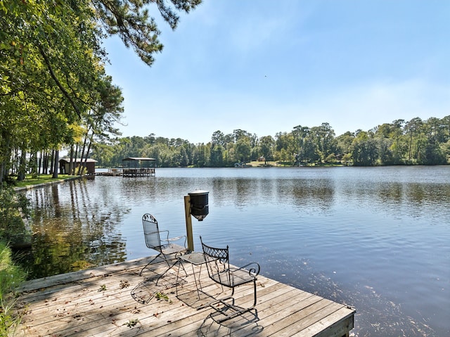 dock area with a water view