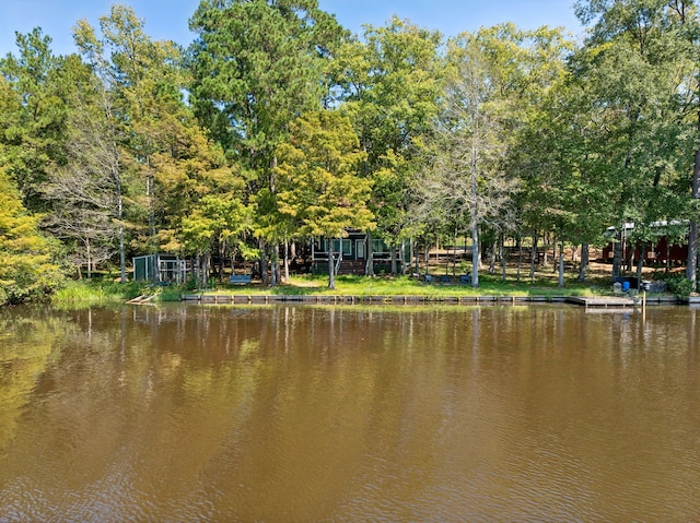 view of water feature