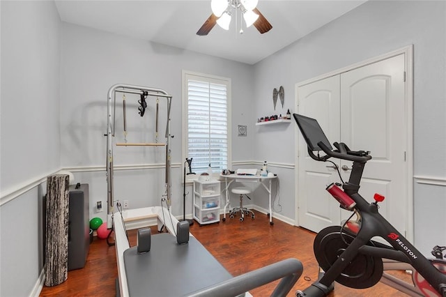 workout room with ceiling fan and dark hardwood / wood-style floors