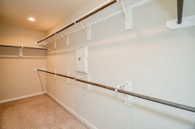 walk in closet featuring light carpet