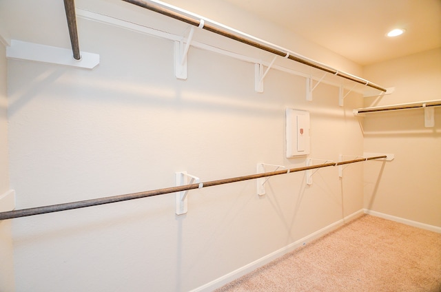 walk in closet featuring electric panel and light colored carpet