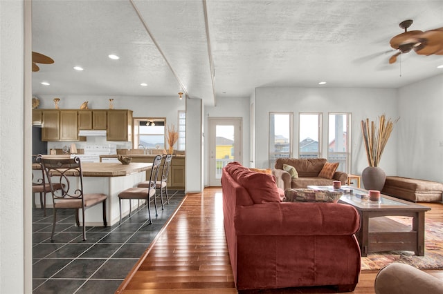 living room with ceiling fan, dark hardwood / wood-style floors, plenty of natural light, and a textured ceiling