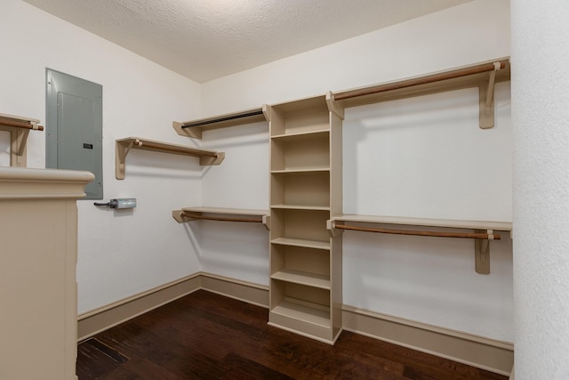 walk in closet with dark hardwood / wood-style floors and electric panel