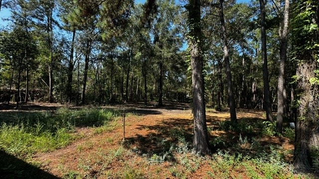 view of local wilderness