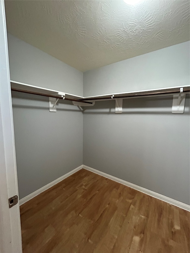 spacious closet with hardwood / wood-style floors