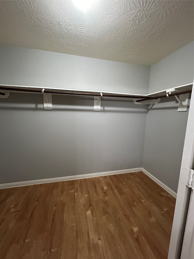 spacious closet featuring wood-type flooring