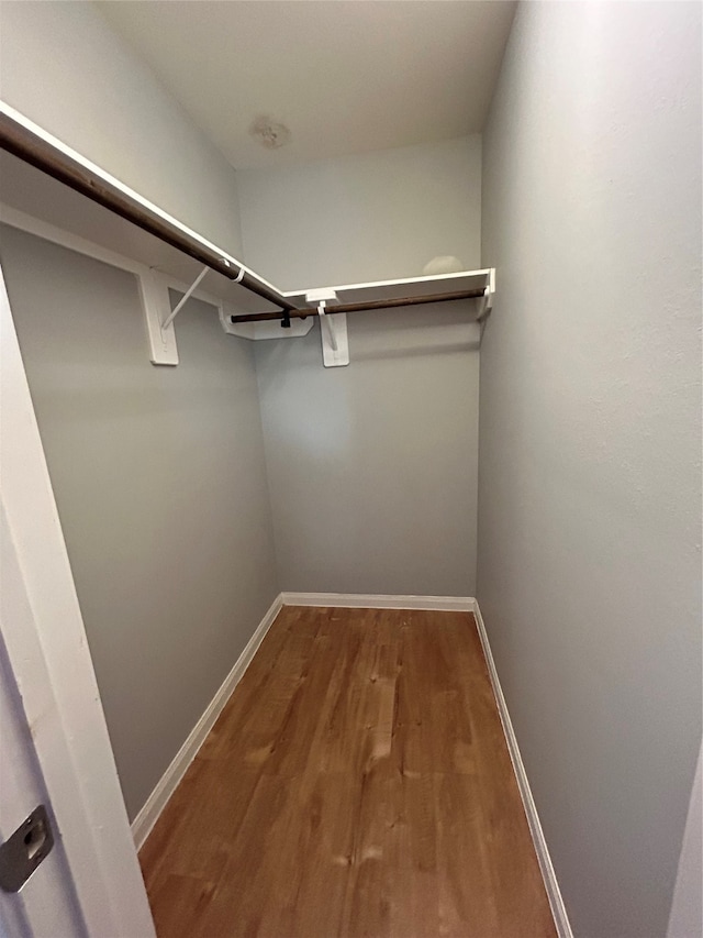 spacious closet with hardwood / wood-style floors