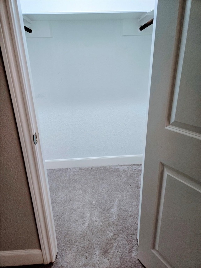 spacious closet with light colored carpet