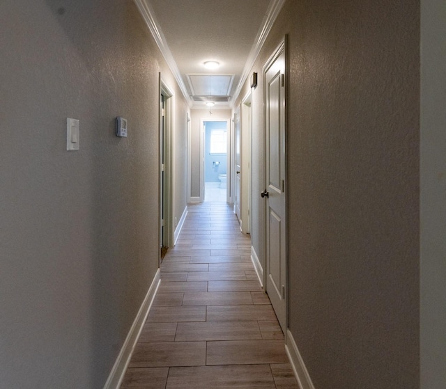 corridor featuring baseboards, a textured wall, ornamental molding, and wood tiled floor