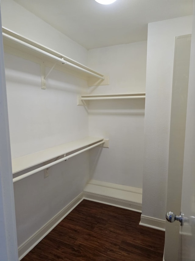 walk in closet featuring dark hardwood / wood-style flooring