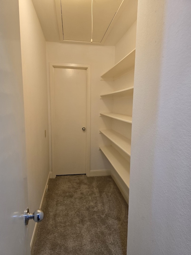 walk in closet featuring dark colored carpet