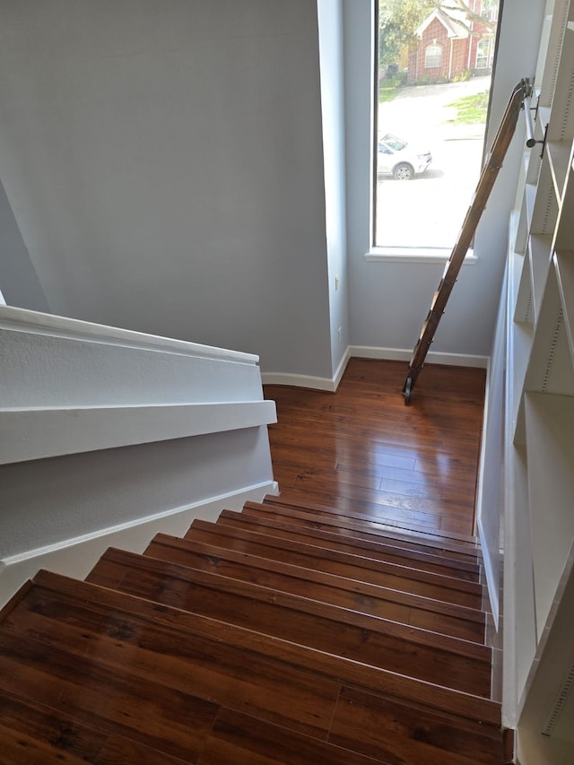 staircase featuring wood-type flooring