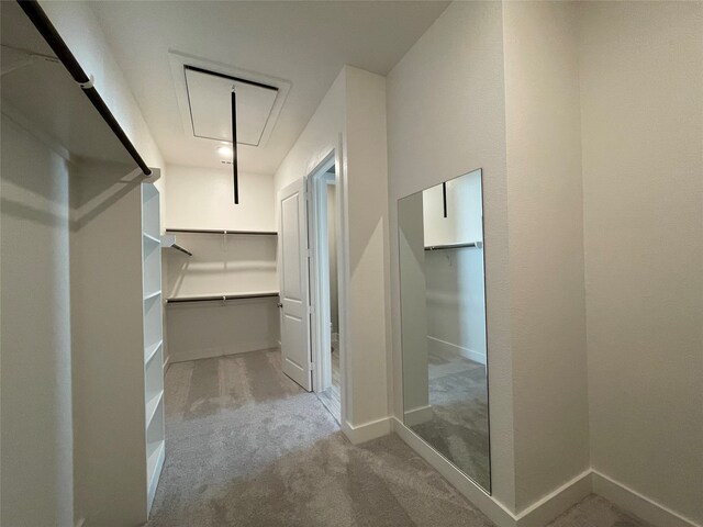 spacious closet with light carpet