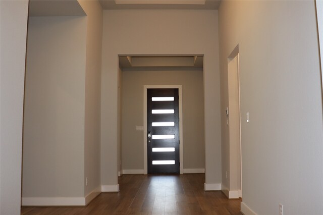 entryway featuring dark hardwood / wood-style flooring