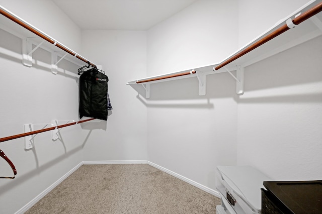 walk in closet with carpet flooring