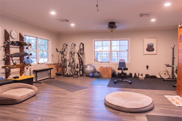 workout area with wood-type flooring, ornamental molding, and ceiling fan