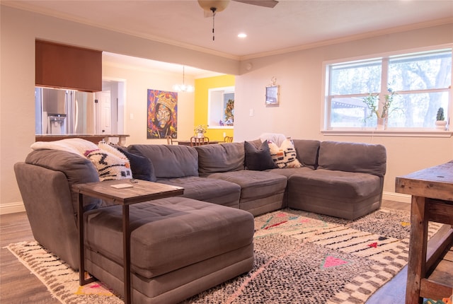 living room with ceiling fan with notable chandelier, light wood-type flooring, and ornamental molding