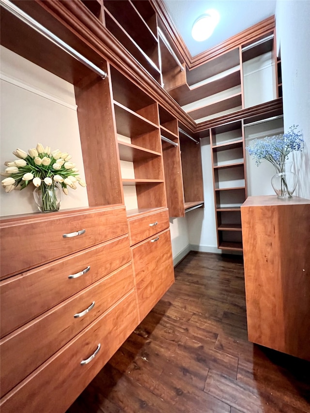 walk in closet with dark hardwood / wood-style flooring