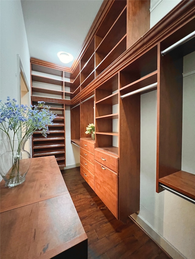 walk in closet with dark hardwood / wood-style floors