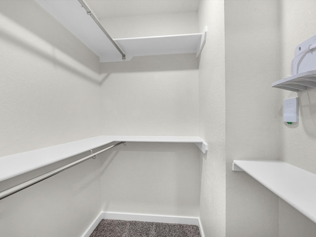 spacious closet with carpet flooring