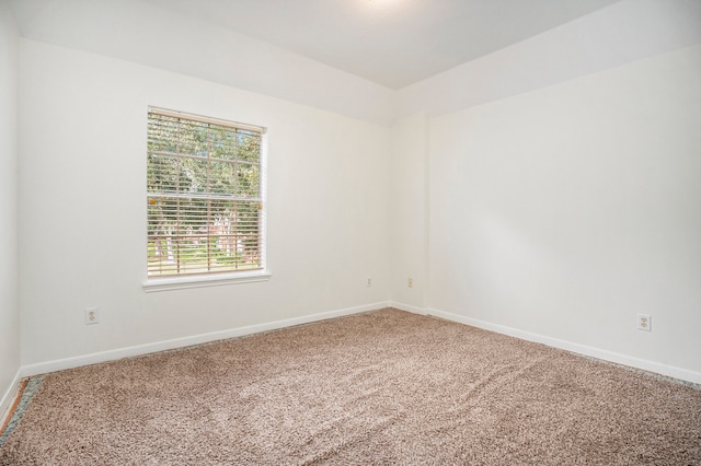 empty room featuring carpet floors