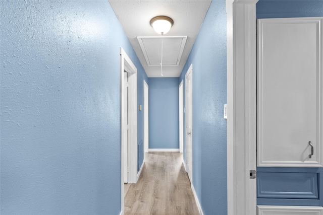 hallway featuring light hardwood / wood-style flooring