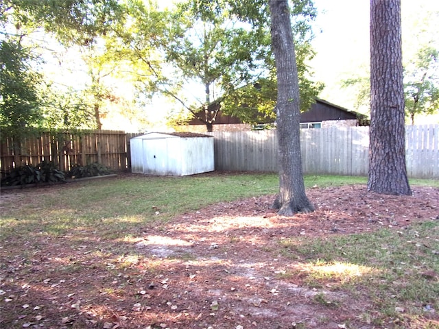 view of yard with a storage shed