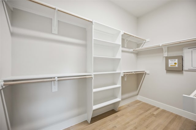 walk in closet with light hardwood / wood-style floors and electric panel