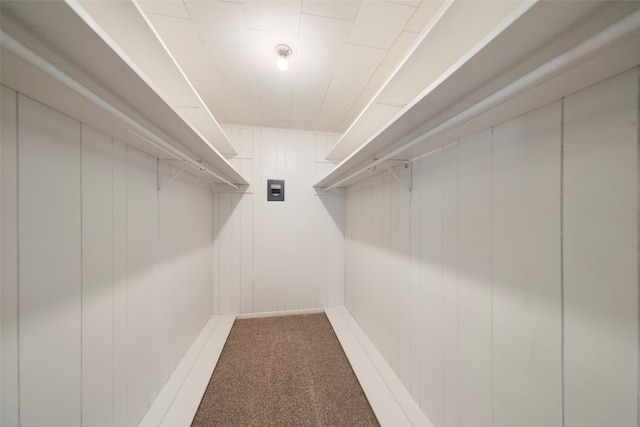 walk in closet with carpet