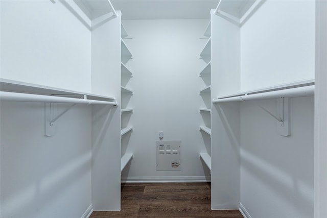 walk in closet featuring dark hardwood / wood-style floors