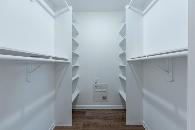 spacious closet featuring dark wood-type flooring