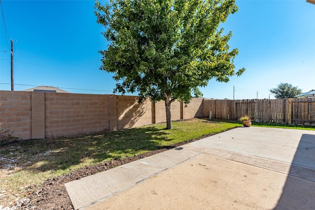 view of yard featuring a patio