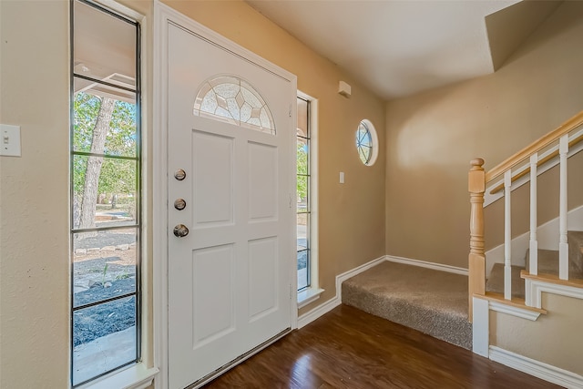 foyer entrance featuring dark wood-type flooring