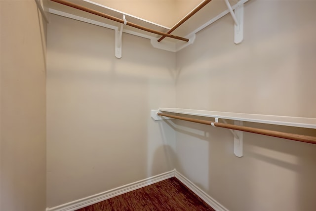 spacious closet featuring hardwood / wood-style flooring