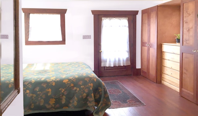 bedroom featuring wood-type flooring