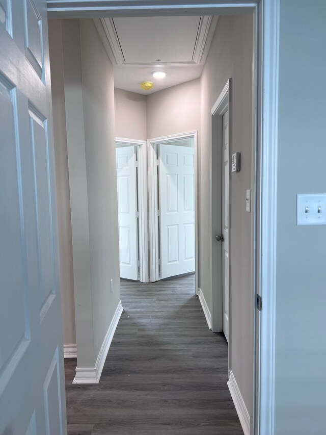 corridor with dark hardwood / wood-style floors