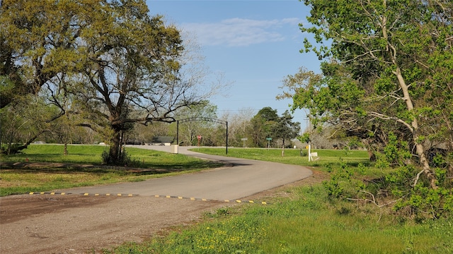 149 Country Oaks St, Brazoria TX, 77422 land for sale