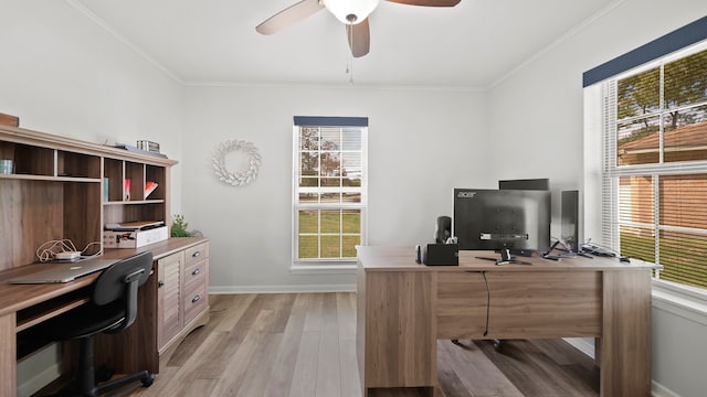 office area with crown molding, a wealth of natural light, light wood-type flooring, and ceiling fan