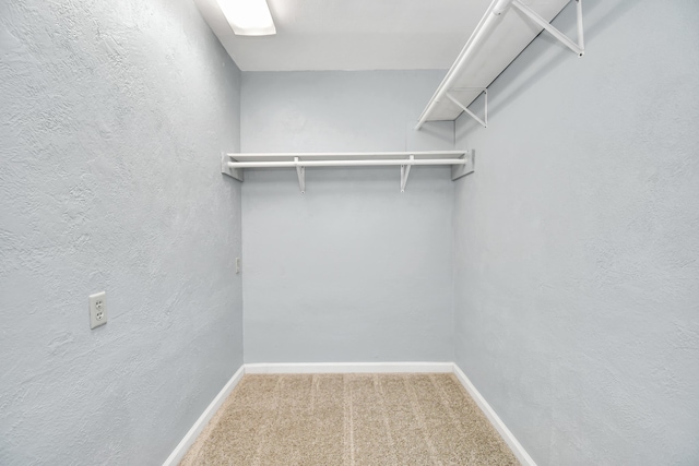 walk in closet featuring carpet flooring