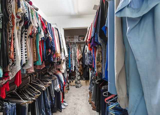 spacious closet featuring carpet