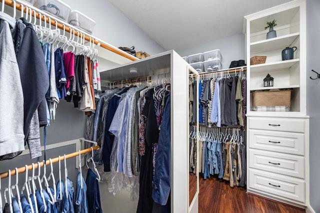 spacious closet featuring dark wood-type flooring