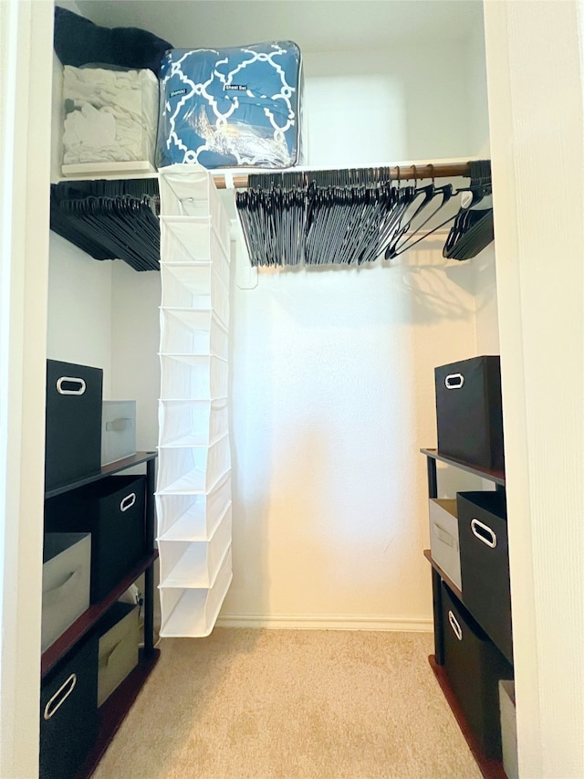 spacious closet with carpet