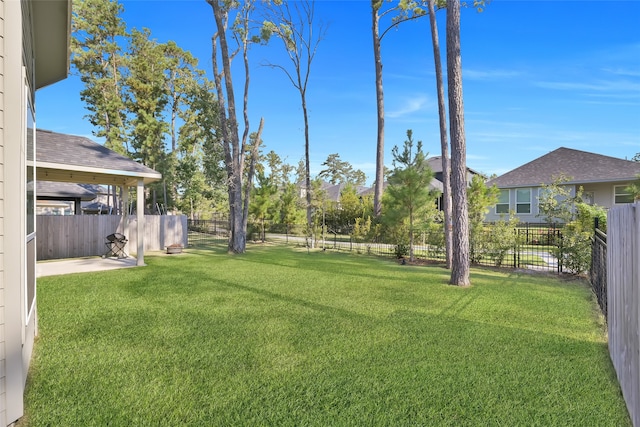 view of yard featuring a patio area