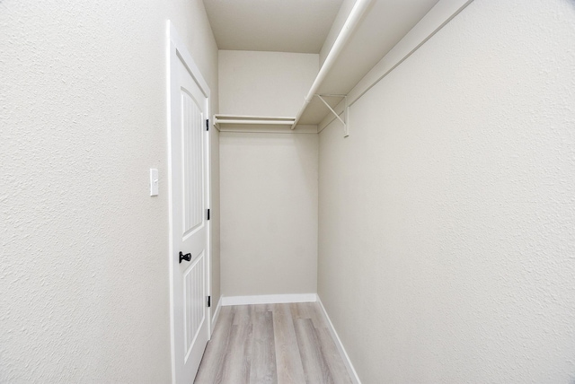 spacious closet with light wood-type flooring