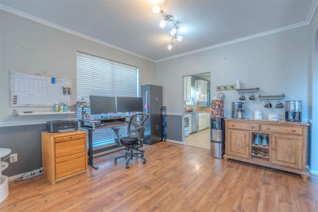 office area featuring light hardwood / wood-style floors and crown molding