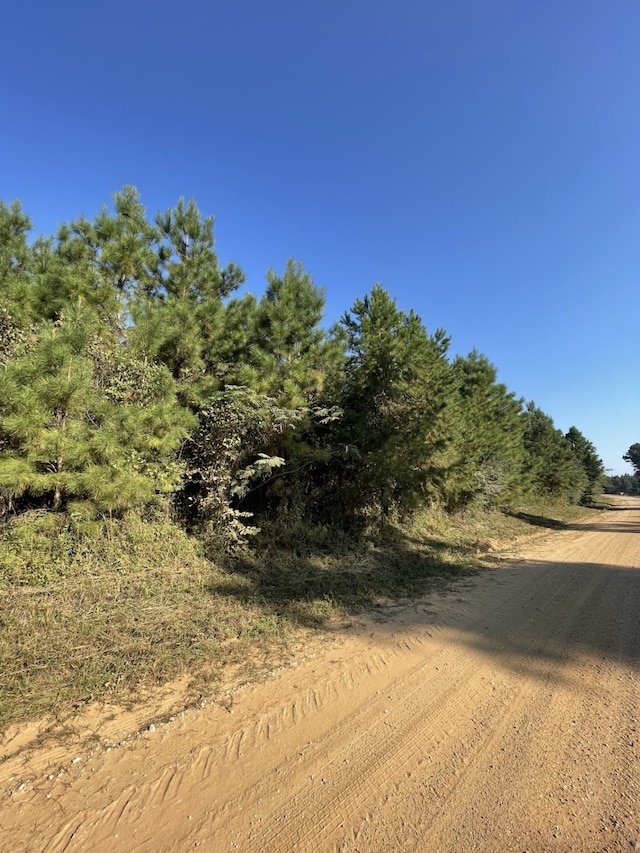 TBD County Road 546 Road, Nacogdoches TX, 75961 land for sale