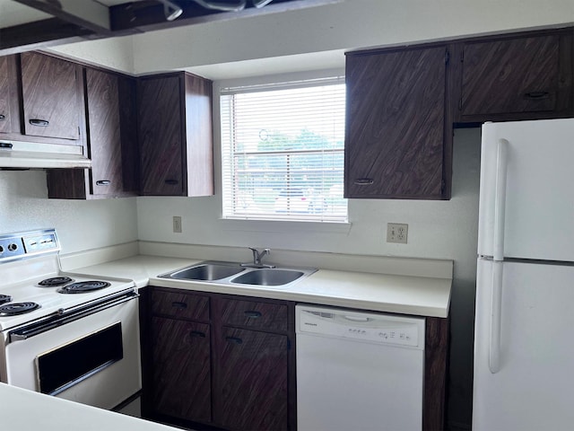kitchen featuring white appliances, under cabinet range hood, a sink, dark brown cabinets, and light countertops