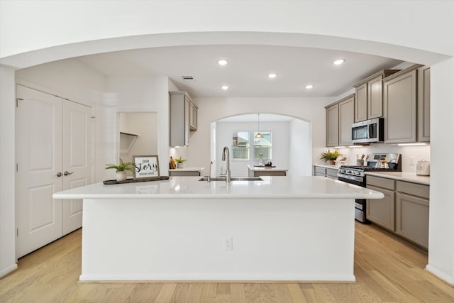 kitchen featuring an island with sink, sink, light hardwood / wood-style flooring, appliances with stainless steel finishes, and backsplash