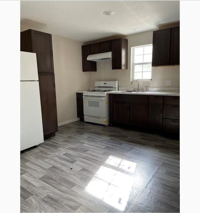 kitchen featuring white appliances, light hardwood / wood-style flooring, dark brown cabinets, and sink