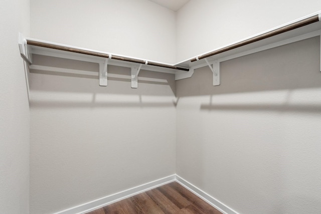 walk in closet featuring hardwood / wood-style floors